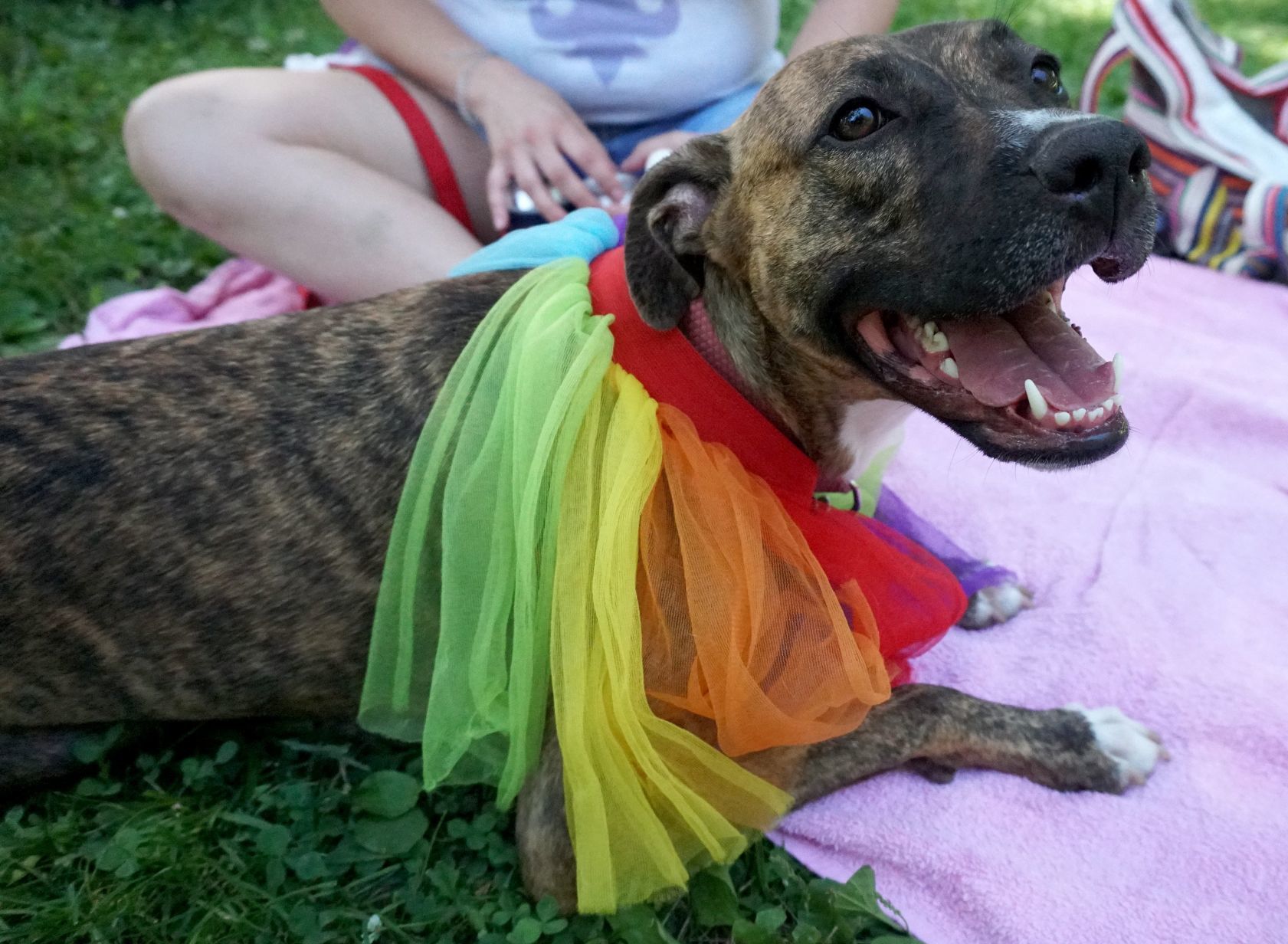 Tower Grove Pride